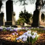 11probate litigation free housing